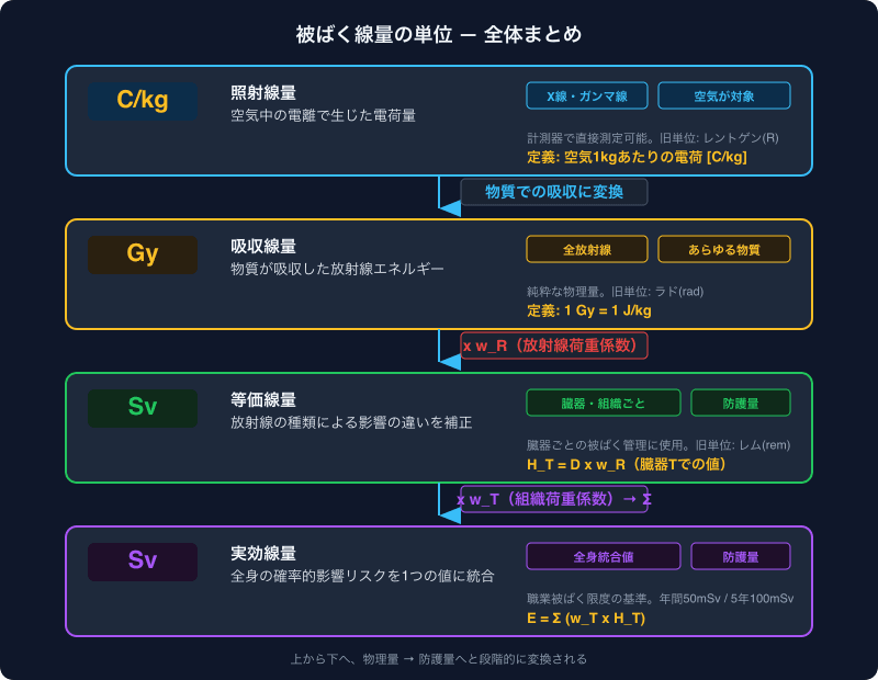 被ばく線量の4つの単位（C/kg・Gy・等価線量Sv・実効線量Sv）の関係を一覧にしたまとめ図