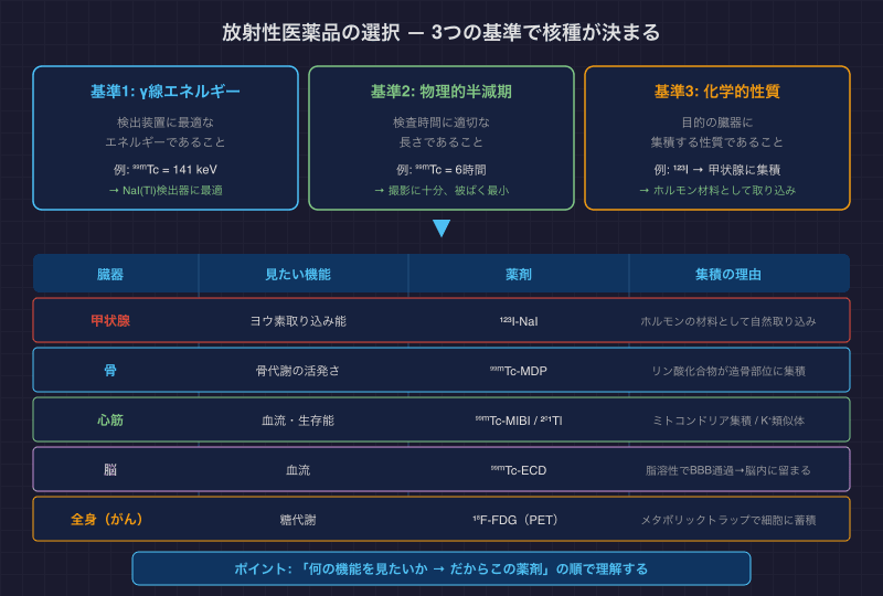 放射性医薬品の選択 — 3つの基準で核種が決まる