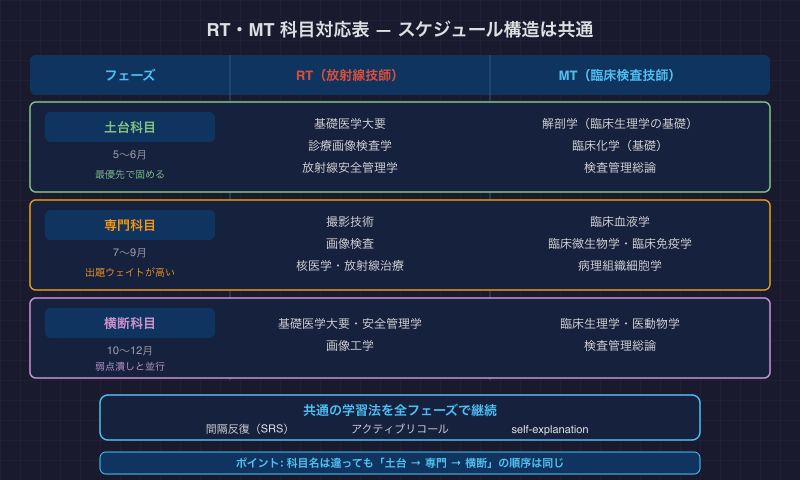 RT（放射線技師）とMT（臨床検査技師）の科目対応表 — 土台・専門・横断の3フェーズ構造は共通