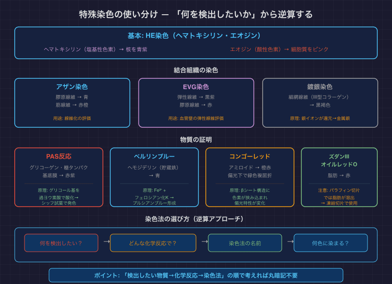 特殊染色の使い分け — 「何を検出したいか」から逆算する