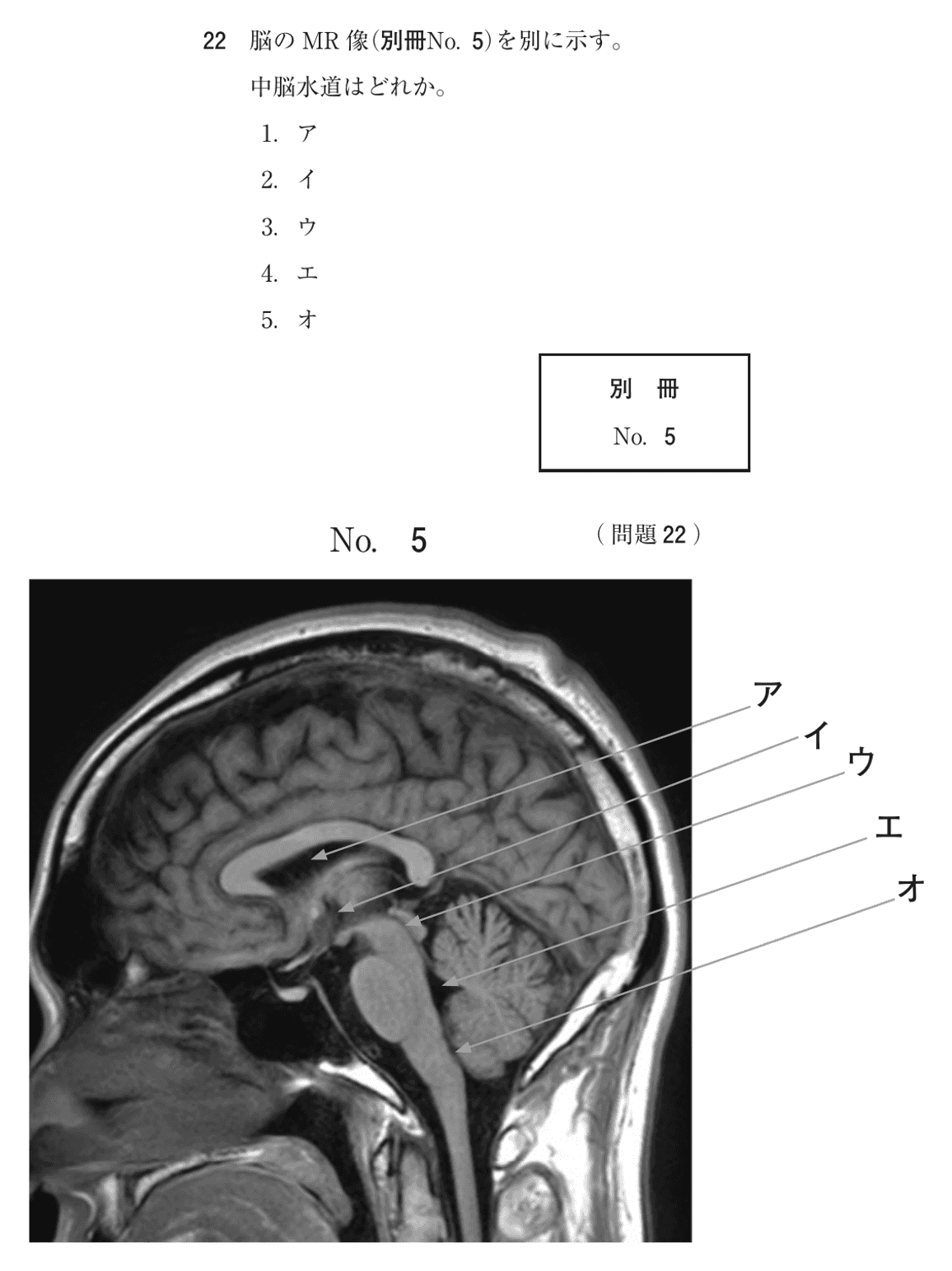 第74回 午前 問22の紙面