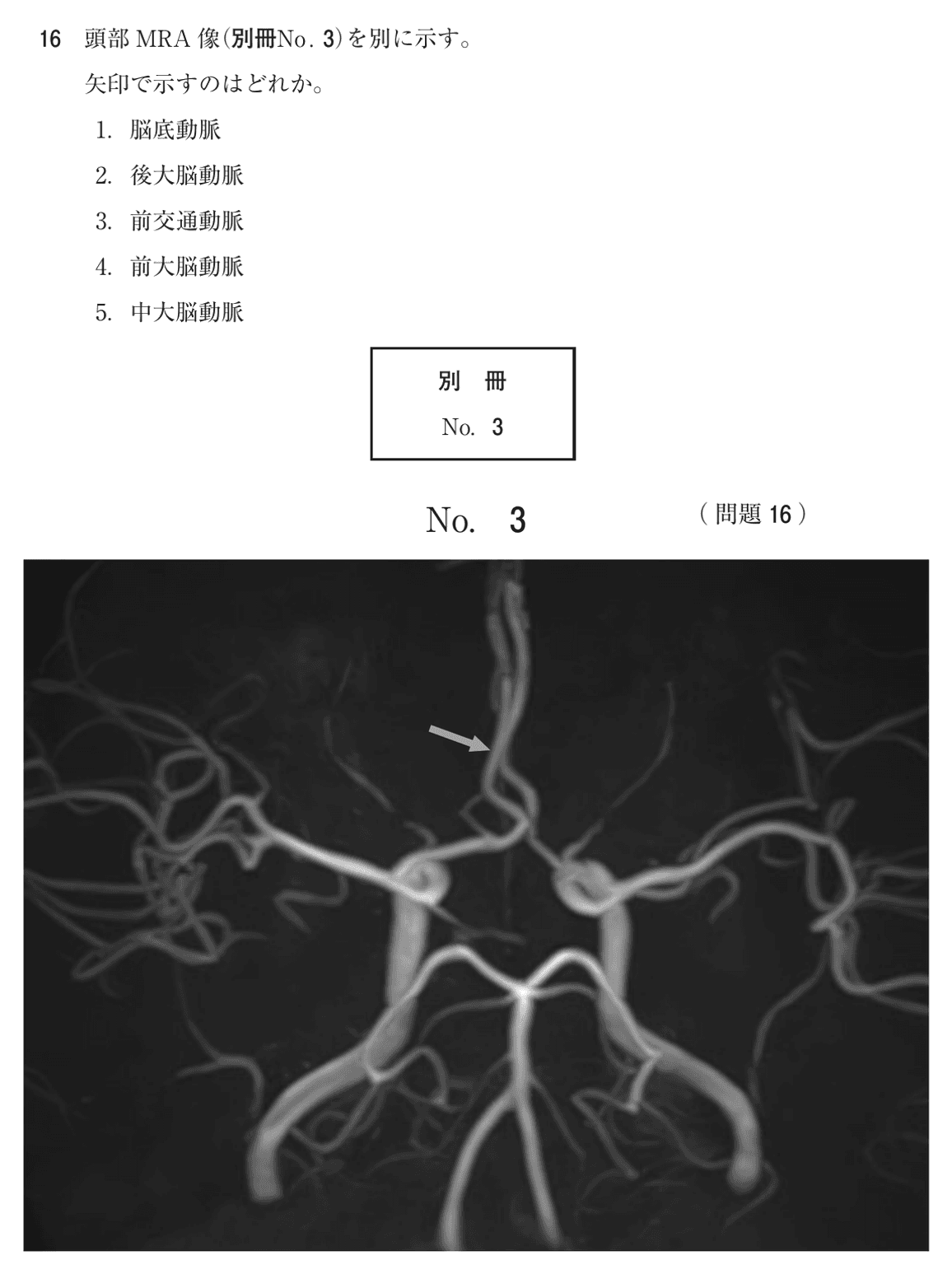 第75回 午後 問16の紙面