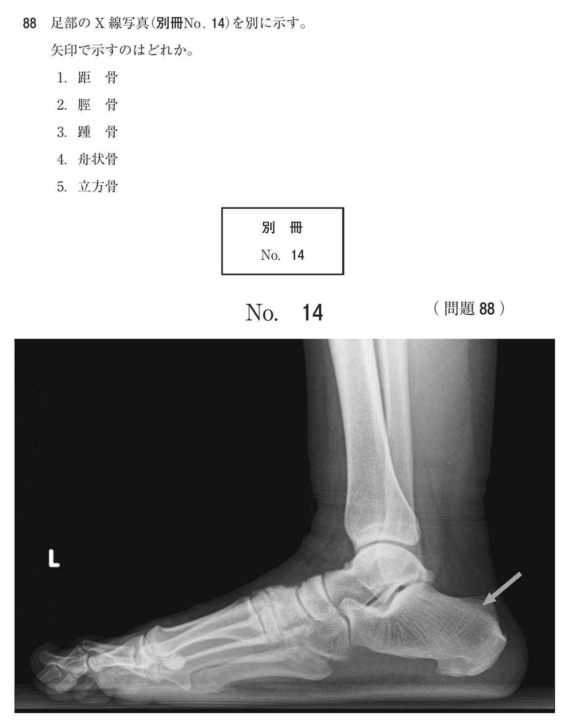 第75回 午後 問88の紙面