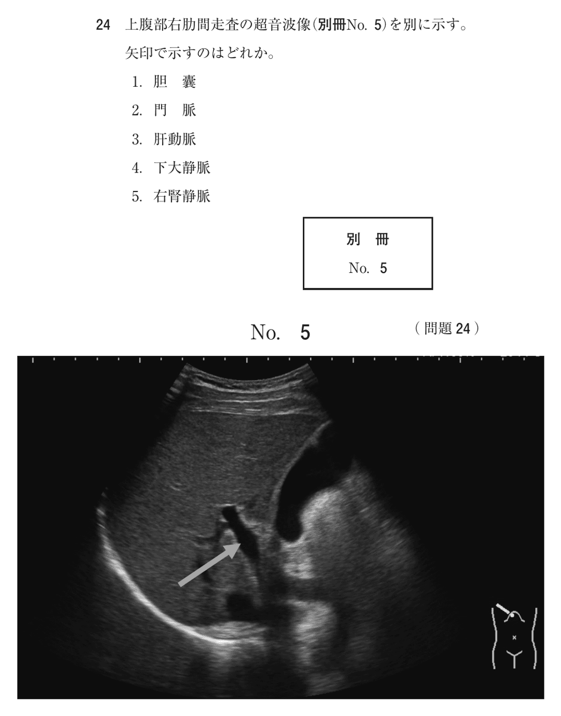 第76回 午後 問24の紙面