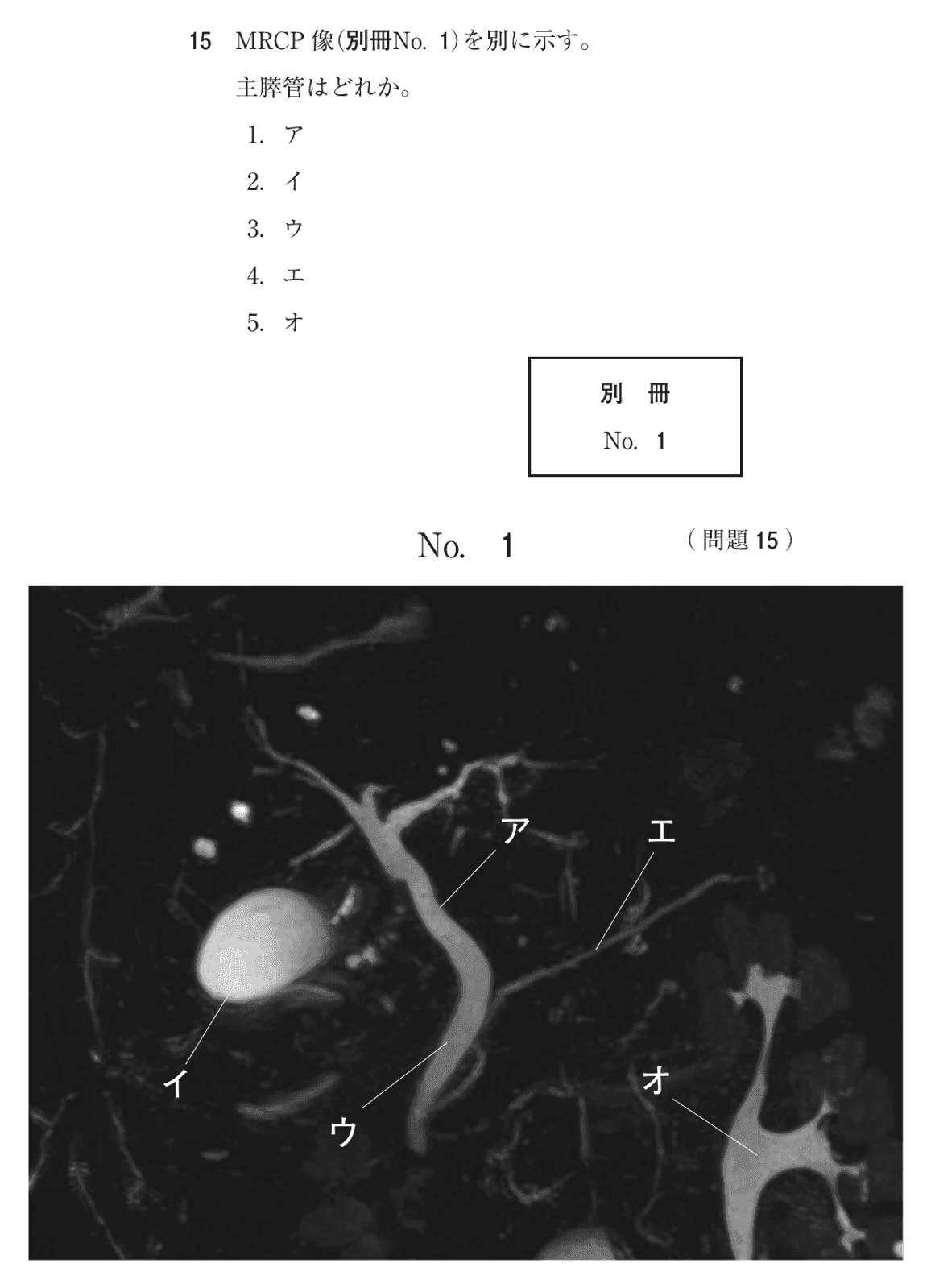 第74回 午前 問15の紙面