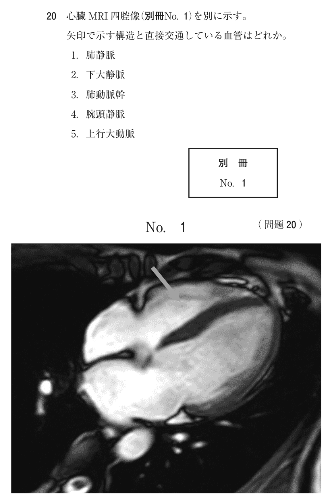 第76回 午前 問20の紙面