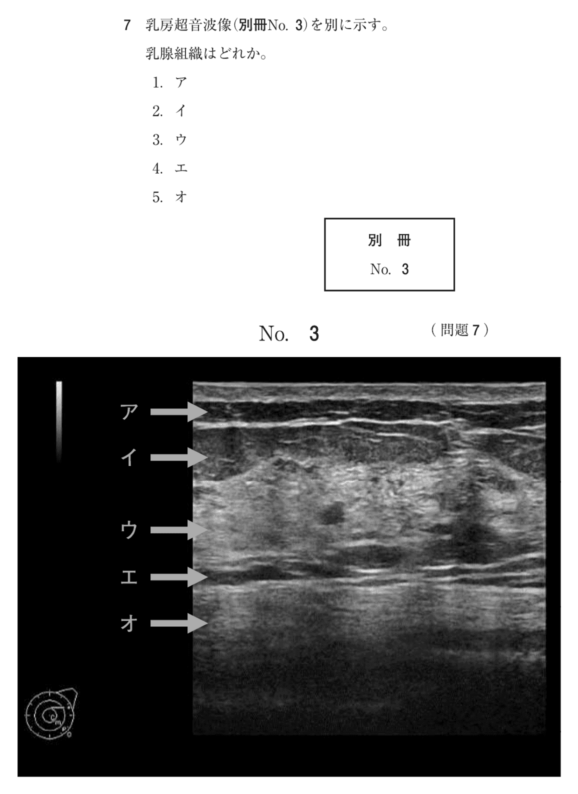 第77回 午前 問7の紙面