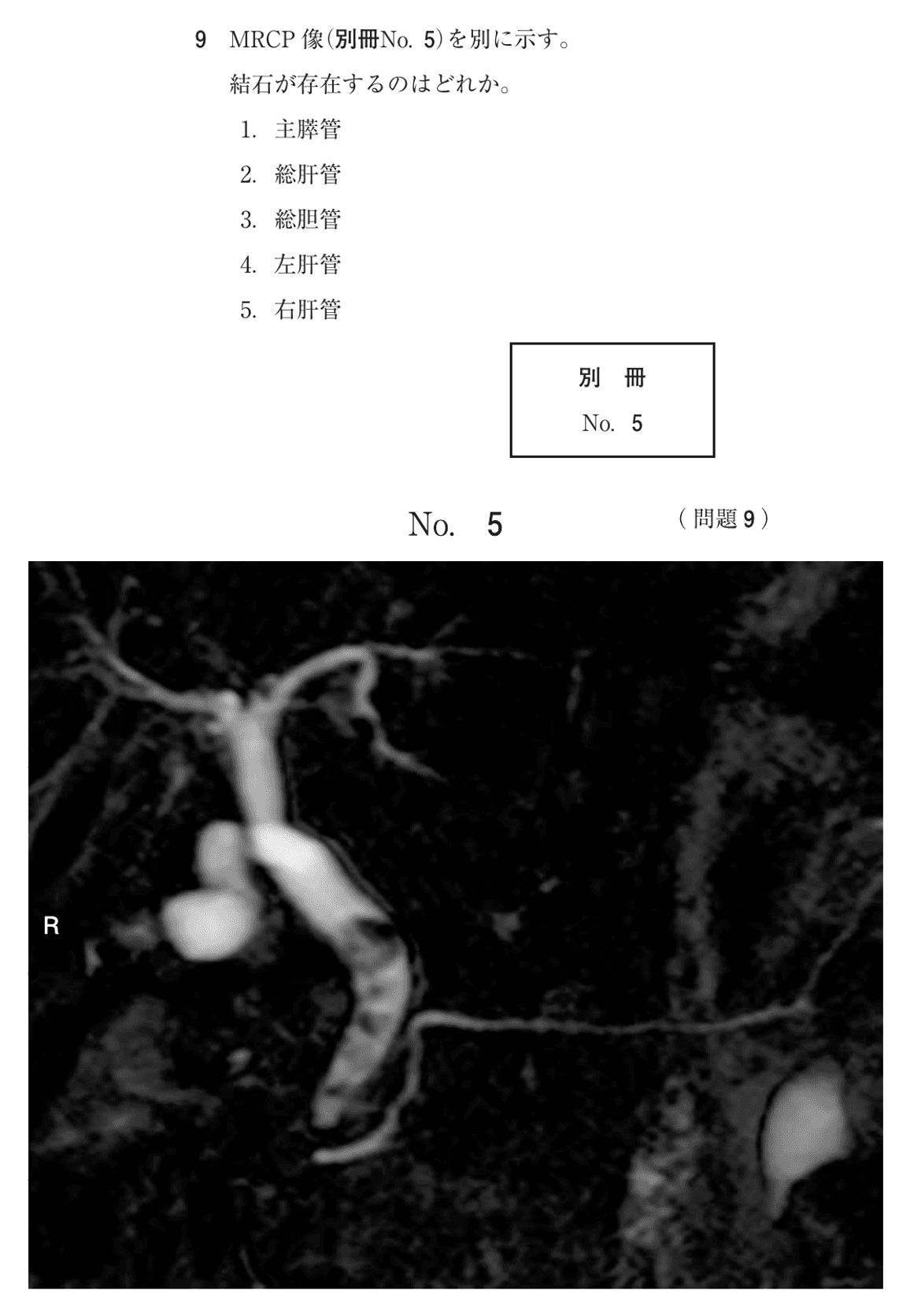 第77回 午前 問9の紙面