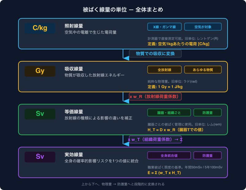 被ばく線量の4つの単位（C/kg・Gy・等価線量Sv・実効線量Sv）の関係を一覧にしたまとめ図