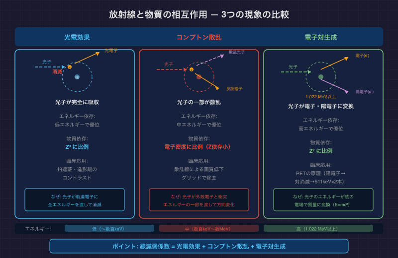 放射線と物質の相互作用 — 光電効果・コンプトン散乱・電子対生成の比較