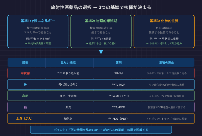 放射性医薬品の選択 — 3つの基準で核種が決まる