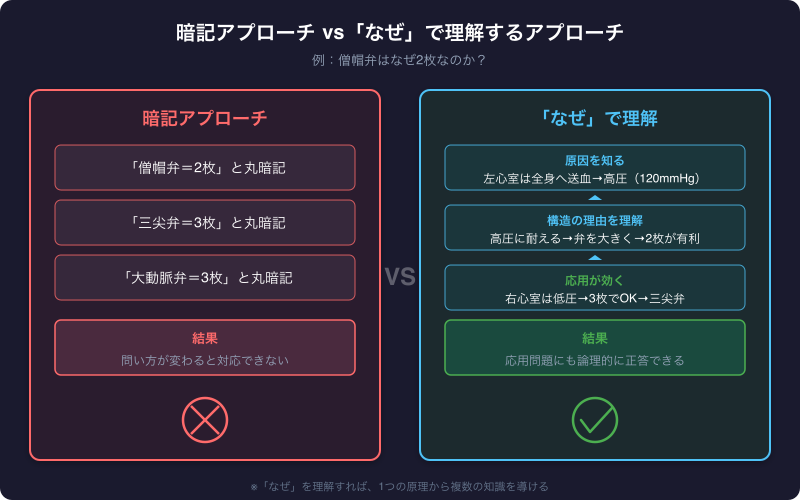 暗記アプローチと「なぜ」で理解するアプローチの比較