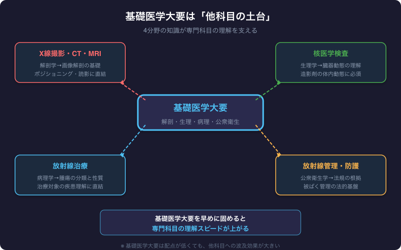 基礎医学大要の4分野が他の専門科目の土台になることを示す図