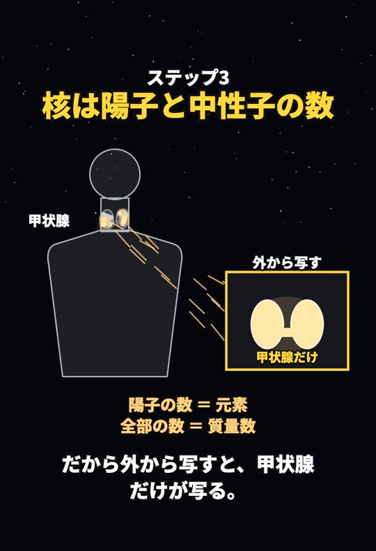 甲状腺に集まった、放射線を出すヨウ素。外から写すと甲状腺だけが写る
