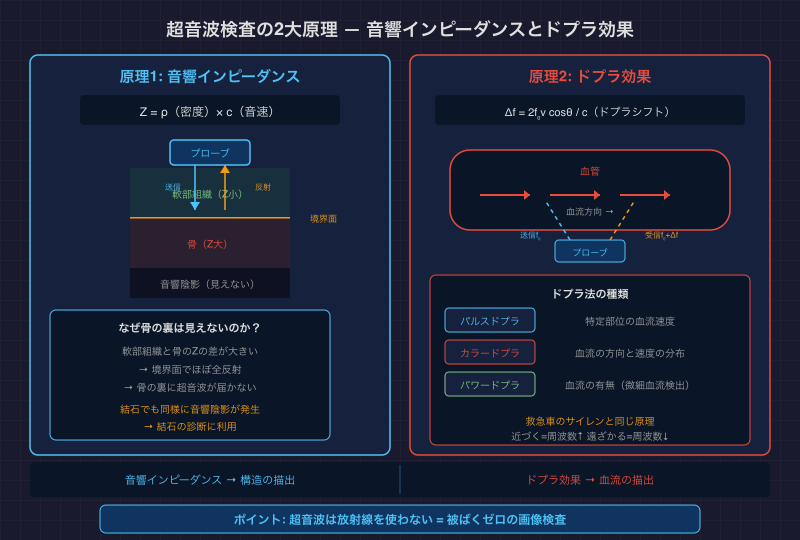 超音波検査の2大原理 — 音響インピーダンスとドプラ効果