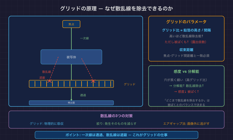 グリッドの原理 — なぜ散乱線を除去できるのか