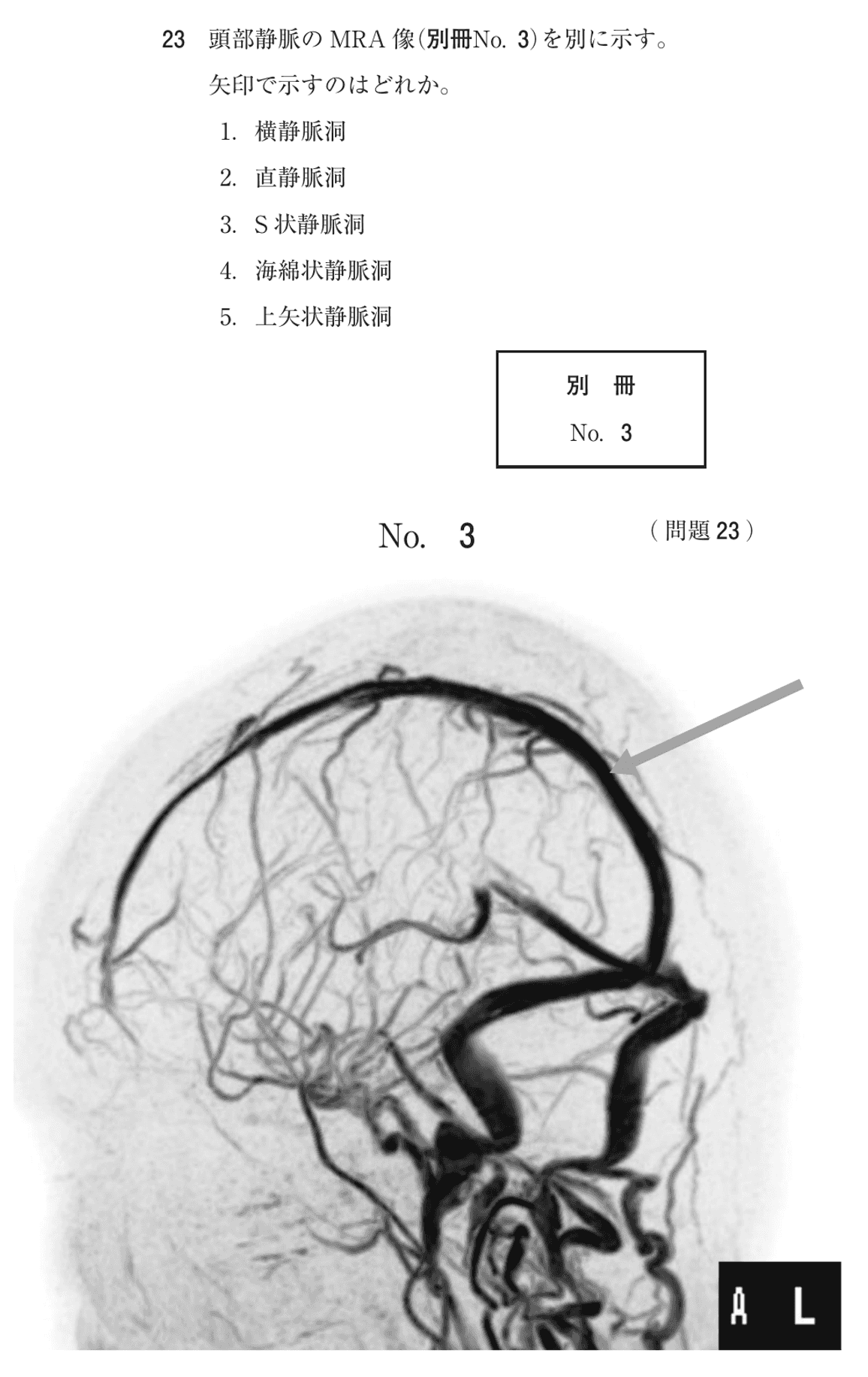 第73回 午前 問23の紙面