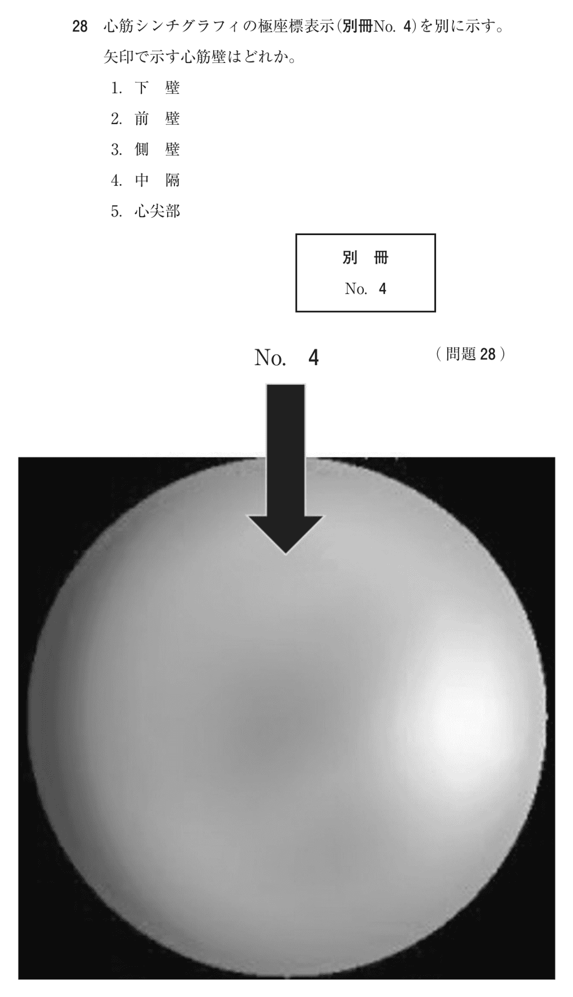 第73回 午後 問28の紙面