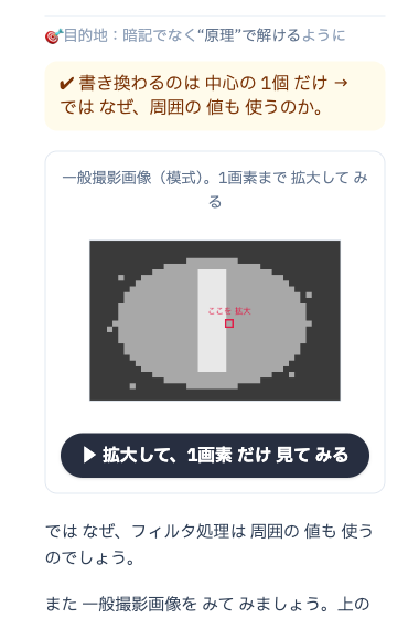 理解ルートの実物画面: X線画像を1画素まで拡大して「なぜ周囲の値も使うのか」へ降りる場面